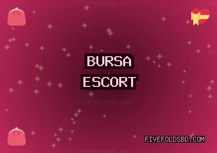 Bursa Escort: Orhangazi Escort, Gürsu Escort, Harmancık Escort